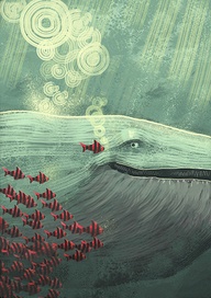 28429041367558950_ts7KmCiM_b