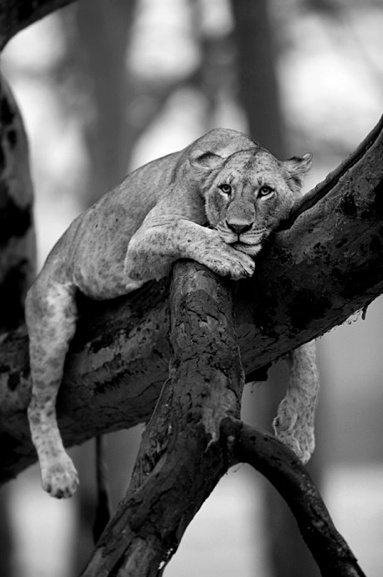 256c61448382f657bdcc7d16c538a1ca