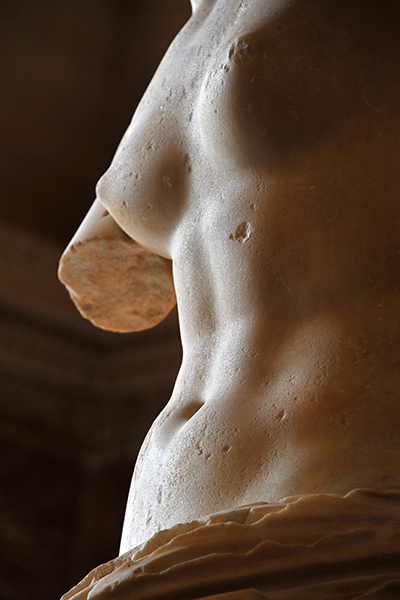 venusdemilo