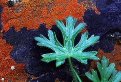 5e866d307e60609a4519c5ae9ec387dc