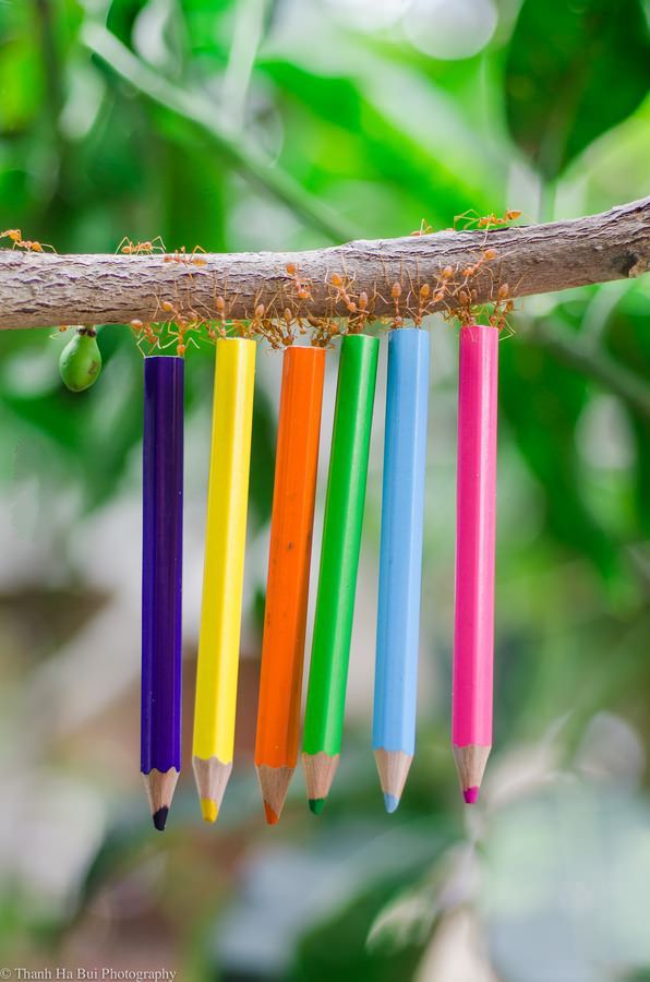 87328e9f0f79c6cf87f5f2f0dd4c87d3