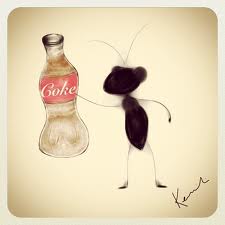 ants cola