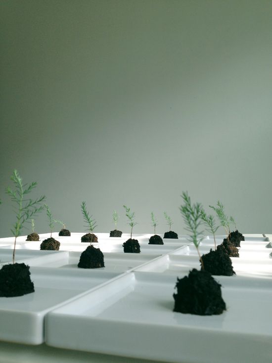 92fcd06c3a5ce2b71bed07ae3aafaa97