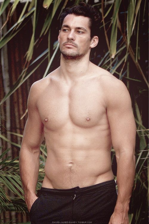 494e838569415fb2ad68e58b1556fcdf