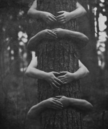 e83c0beab2c4dc36a3db708dacb9a2dd