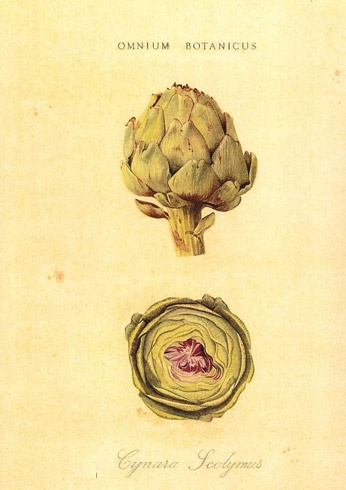 5f2a15558a5d78d3daa1bb1b7367d4e9