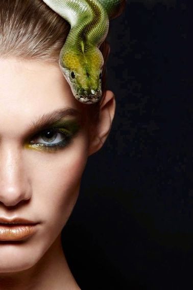 6faa038cdadfe4f90365a29a0908af56