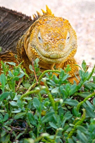 760215626bc65b7c29350804f647de72