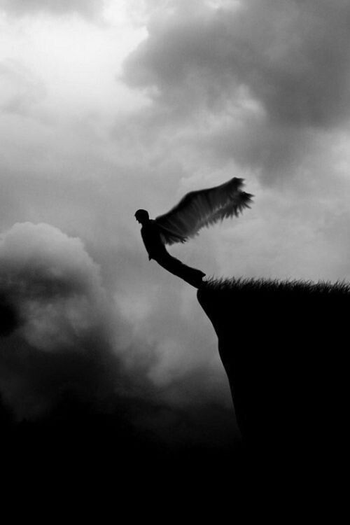 fb97d8e3d9bb02c4a44902f4d137725a