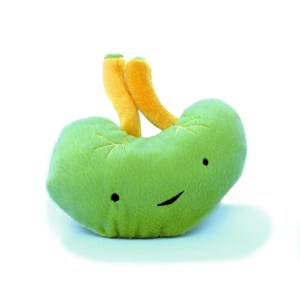 ffa16558f55a366dd7ed25f6e55332d6