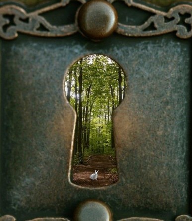 e31d6cc9a66bd37c1cc647a09948a146