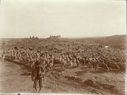 5887160385_193cc3152e_z