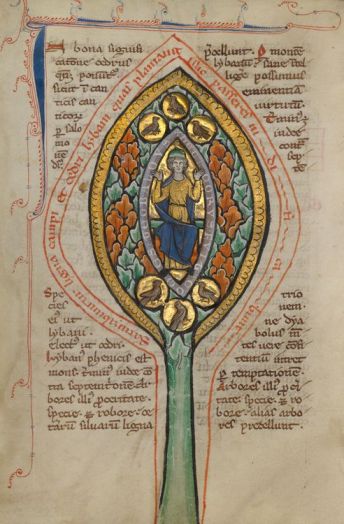 7874816a6b374240f19fd87a9e771b8e