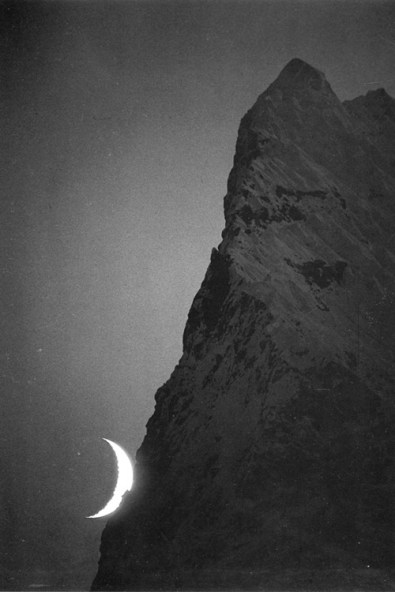 7da31ad6990ba0527402f504d04605e1