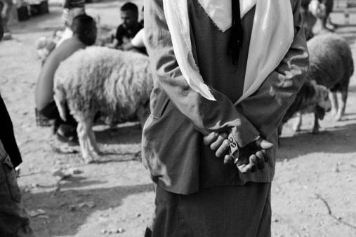 bedouim-4 viktor bezrukov