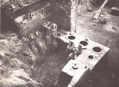 Asellina_thermopoleum