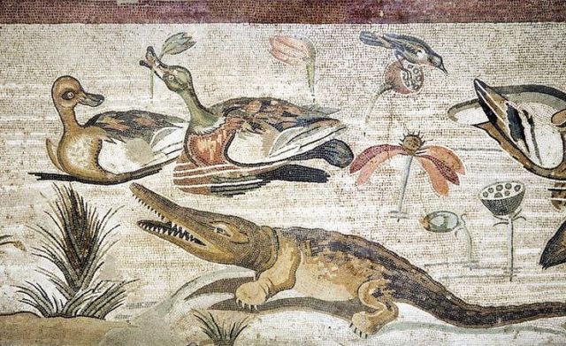 01c46934ebaed24876739c083ee0d672