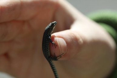 179283_1552749225184_6721410_n