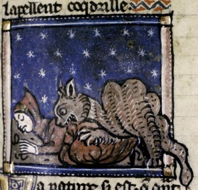 crocodiledouce308-500x481