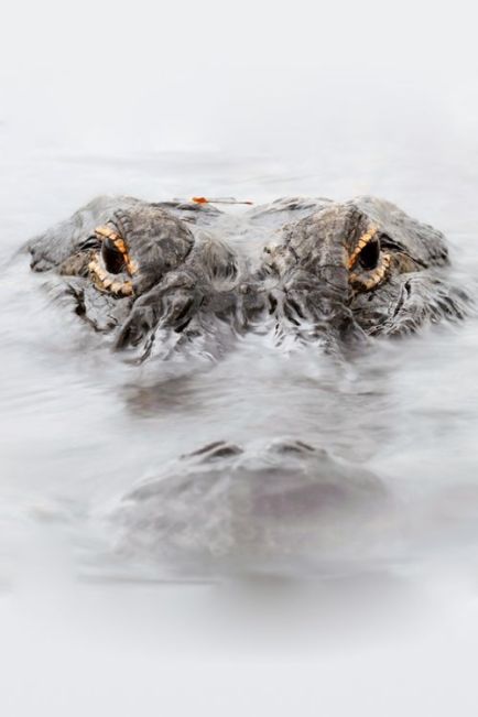 photographer Richard Peters