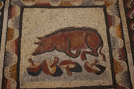 A truffle pig with his spoils (Museum of animals in the Vatican Museum, Rome).