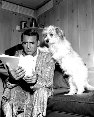 cary_grant_dog