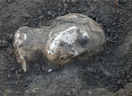 Julia la mayor Aranova