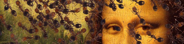 6a00d8341bfb1653ef017d3c424302970c