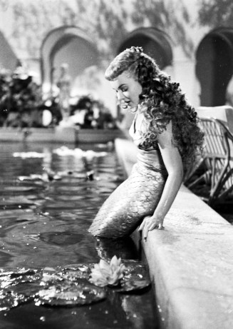 tumblr_mda60a4Wkv1rk3rmso1_1280