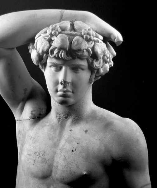 19232493012_bc75de375c_o