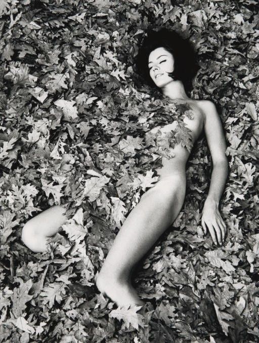 Autumn Leaves 1960, By Wings Paine 1965