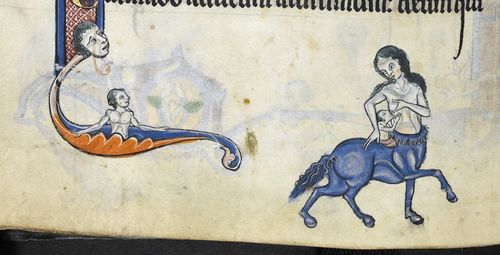 6a00d8341c464853ef019101b925e2970c-500wi